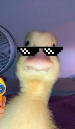 djjfkxkfjxj profile picture