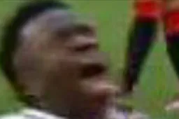 monkey.meme profile picture