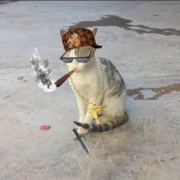 taha4444 profile picture