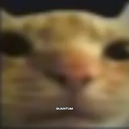 quantum7 profile picture