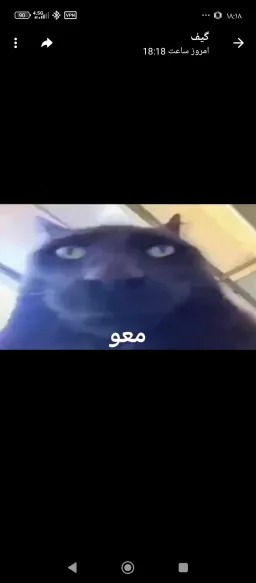 shaytun965 profile picture