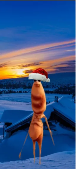 MARKOS_MEME profile picture