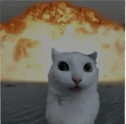 bardia... profile picture