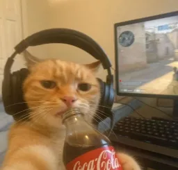 zimmeme profile picture