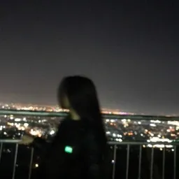 setare1388 profile picture