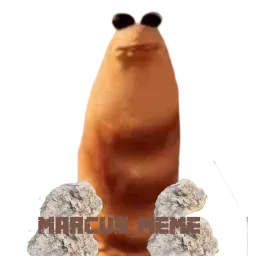 MARCUS_MEME profile picture