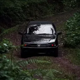 kaktos profile picture