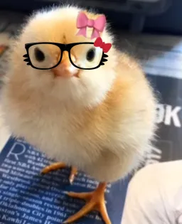 pomni_875 profile picture