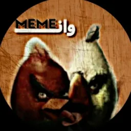 wan_memei profile picture