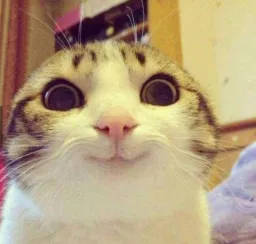 Abol.Gorba profile picture