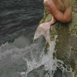 mermaid_meme profile picture