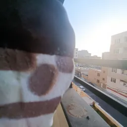 mr.mombo profile picture