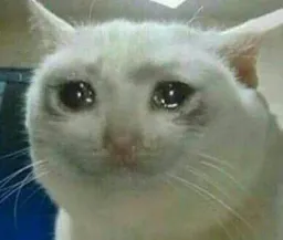 mamadzhkosh profile picture