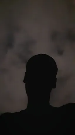 meti_online9 profile picture