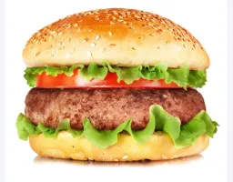 hamberger_crispy profile picture