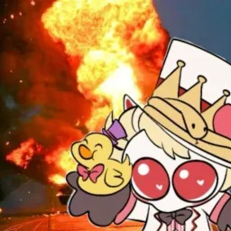 dndjdjd profile picture