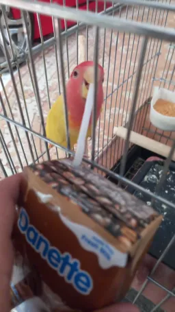 kiandpx profile picture