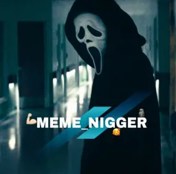 MEME_NIGGER profile picture