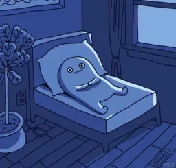 not_meme profile picture