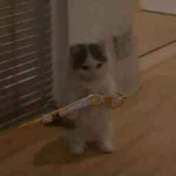 rezmoooon profile picture