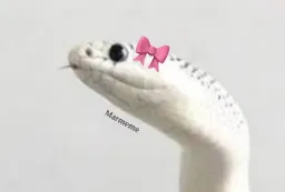 marmeme profile picture