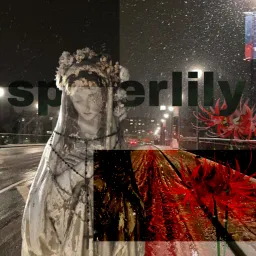 spiderlily profile picture