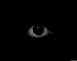mafioso profile picture