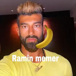 ramin_memer profile picture