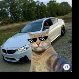 Artman.memer profile picture