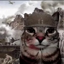 pishool profile picture